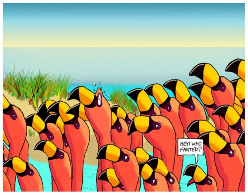 A picture of toucans. One questioning "who farted" with another looking guilty.